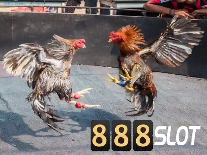 ưu đãi 888slot Xổ Số