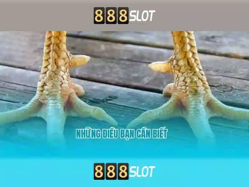 Kinh nghiệm chơi slot