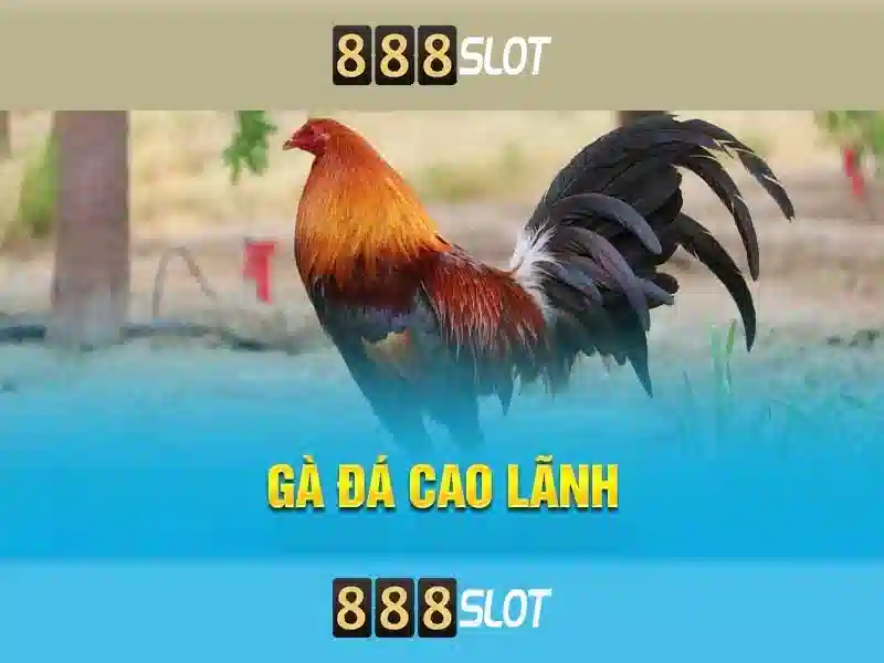 888SLOT – Bí Kíp Chinh Phục Đại Dương Tiền Thưởng Đẳng Cấp 2026