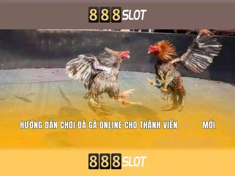 Khám phá 888SLOT
