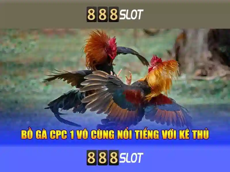 Trải nghiệm thật sự đáng tin cậy