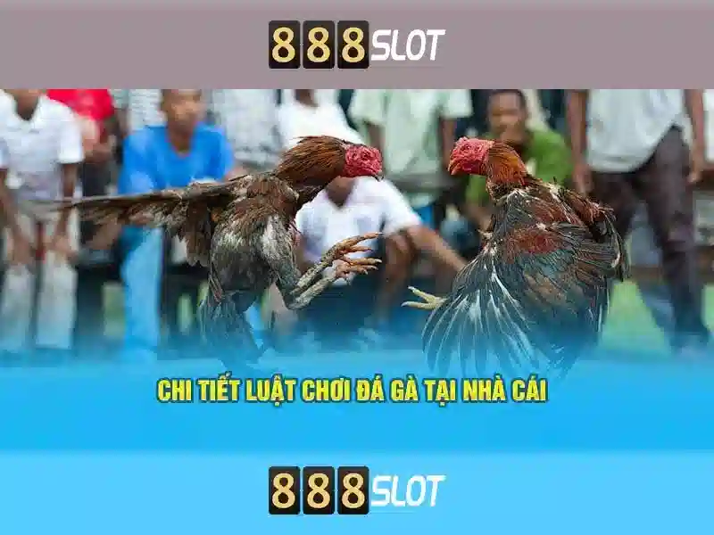 Đa Dạng Thể Loại Slot