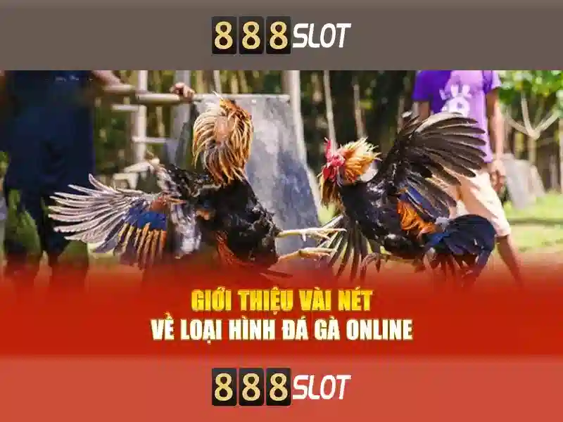 888SLOT - Tham Gia Trải Nghiệm Cá Cược Slot Thú Vị Nhận Thưởng 888 win slot - Copyright © 2026