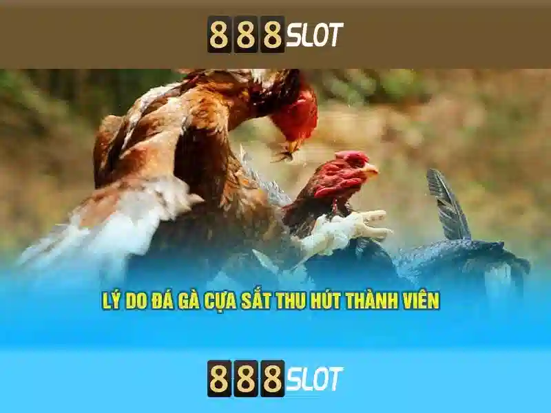 hướng dẫn đặt cược slot 888slot