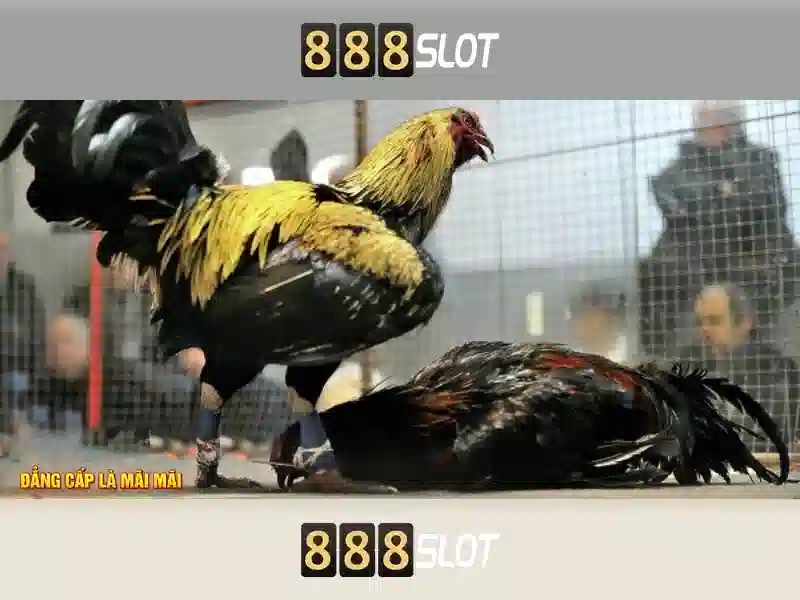 Trải nghiệm casino trực tuyến 888SLOT với 888slot kasir