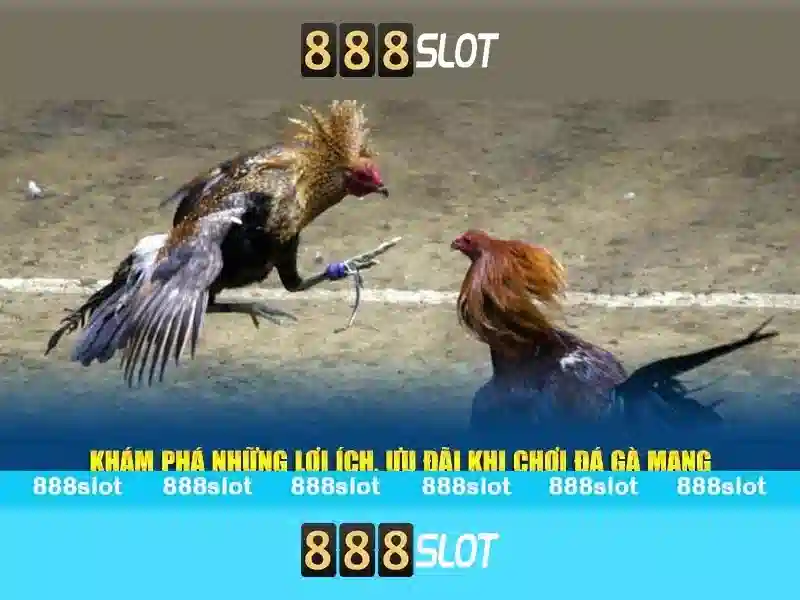 Ưu Đãi Đặc Biệt Cho Thành Viên