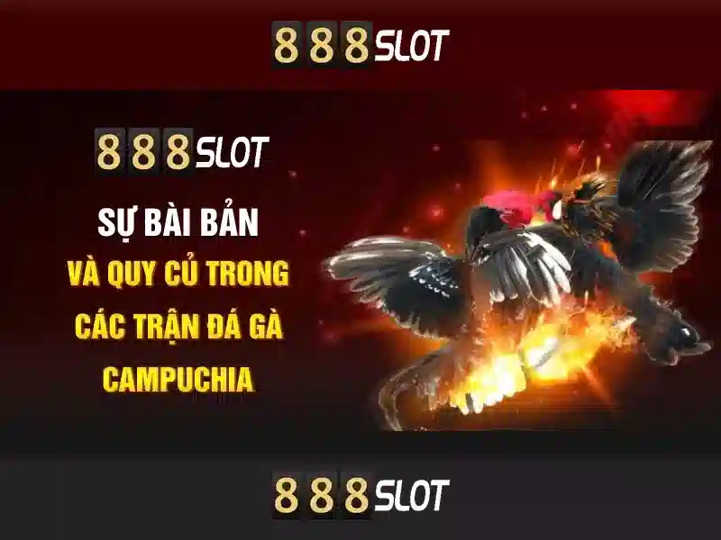Trải nghiệm đỉnh cao