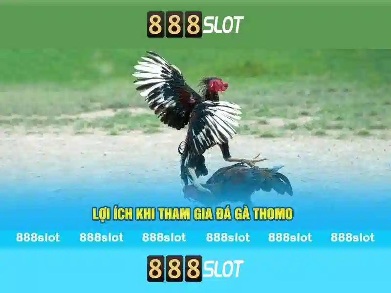 Giới Thiệu Tổng Quan Về 888SLOT