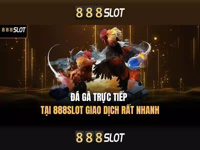 Hướng dẫn chơi slot đổi thưởng