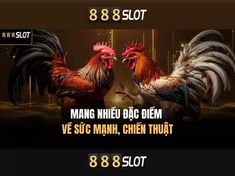 Giới Thiệu Về 888SLOT