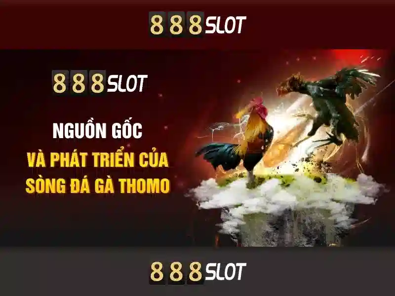 Hỗ trợ 888SLOT