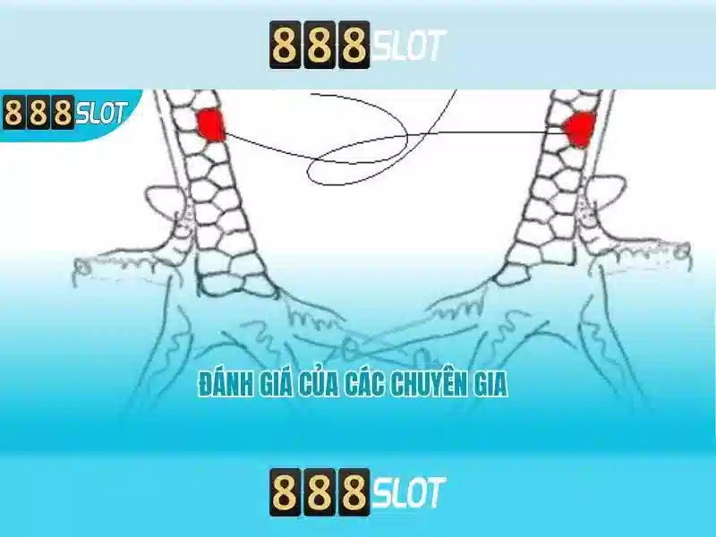 bảo mật 888SLOT