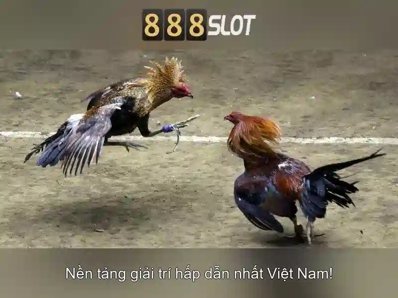 Bắn cá 888SLOT