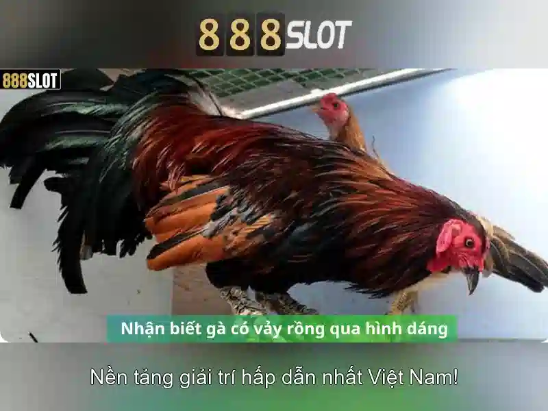 888slot poker - Trải Nghiệm Cược Trực Tuyến Đa Dạng