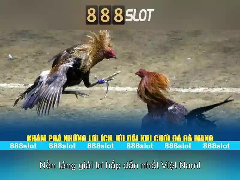 Đăng ký và trải nghiệm 888SLOT ngay hôm nay