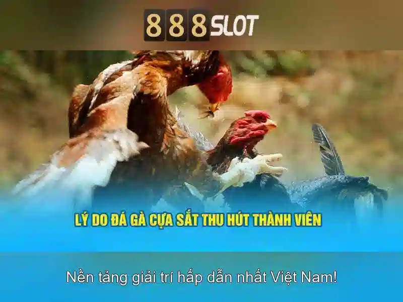 Tải 888slot app – Trải Nghiệm Đỉnh Cao