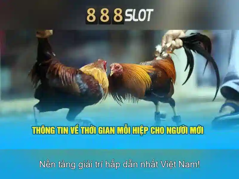 Các Loại Trò Chơi Slot 888SLOT
