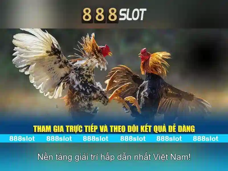 888SLOT – Trải Nghiệm Slot Vn 888slot Đỉnh Cao 2026